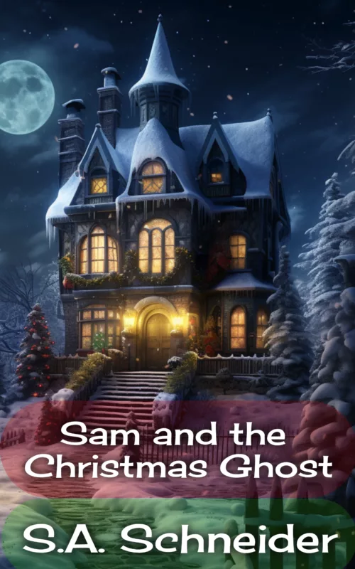 Sam and the Christmas Ghost – 2021 Christmas Special